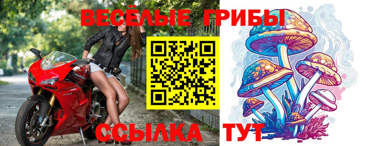 Псилоцибиновые грибы Cubensis Печора